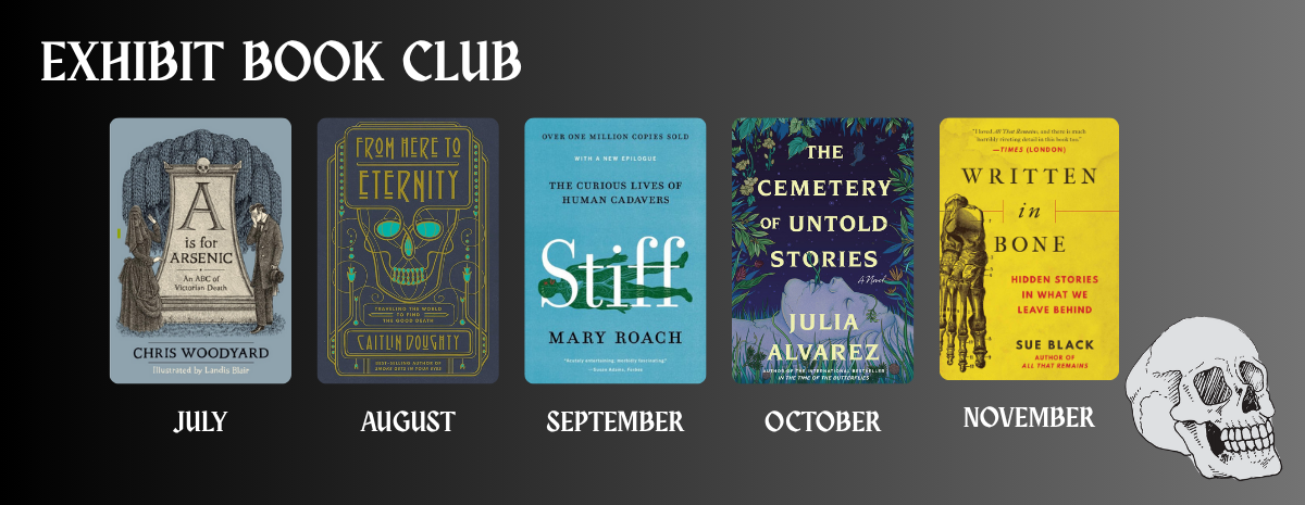 Book Club: The Cemetery of Untold Stories
